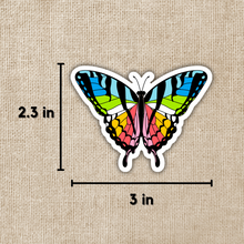 Load image into Gallery viewer, Queer Pride Butterfly Sticker
