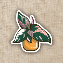 Load image into Gallery viewer, Potted Philodendron Sticker
