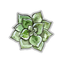 Load image into Gallery viewer, Watercolor Haworthia Succulent Clear Sticker
